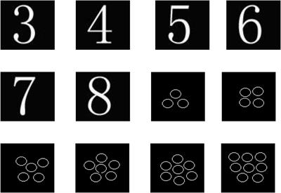 Early Event-Related Potential During Figure and Object Perception of Abacus Mental Calculation Training Children: A Randomized Controlled Trial